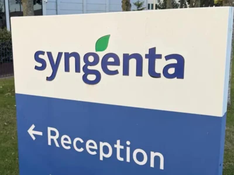 Hundreds of Syngenta Jobs at Risk